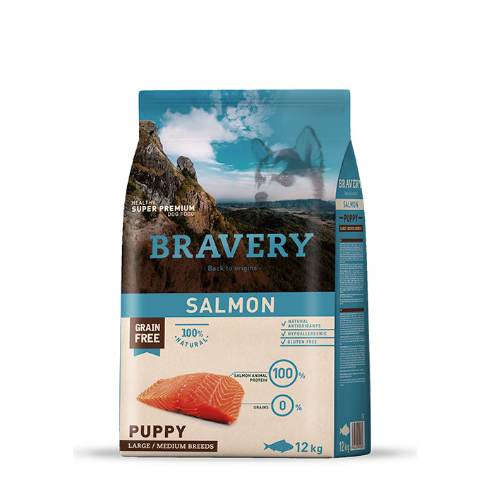 Bravery Puppy Large Salmon